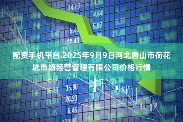 配资手机平台 2025年9月9日河北唐山市荷花坑市场经营管理有限公司价格行情