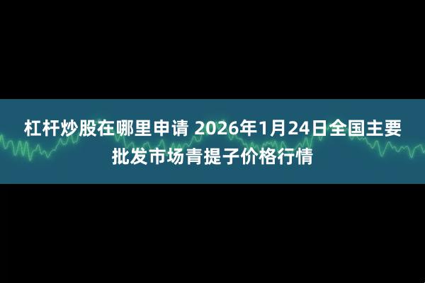 杠杆炒股在哪里申请 2026年1月24日全国主要批发市场青提子价格行情