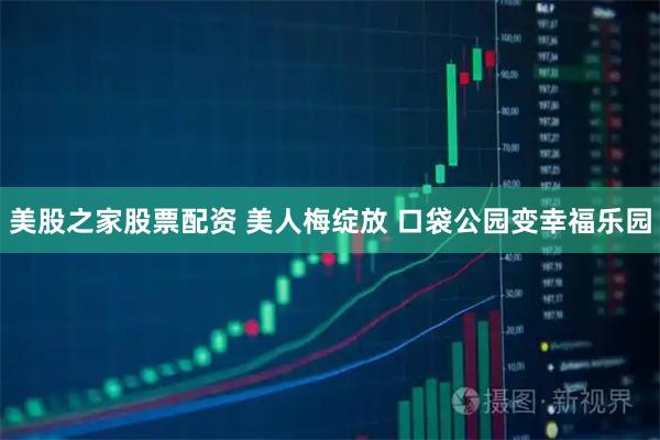 美股之家股票配资 美人梅绽放 口袋公园变幸福乐园
