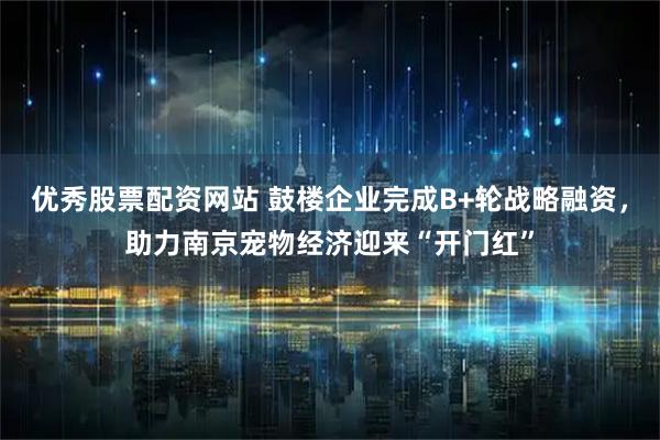 优秀股票配资网站 鼓楼企业完成B+轮战略融资，助力南京宠物经济迎来“开门红”
